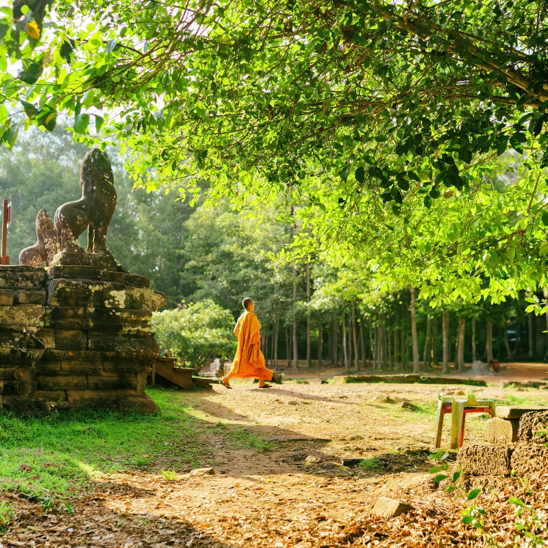 Viagem Especial Tailândia Laos Camboja e Vietnã no 18 Dias
