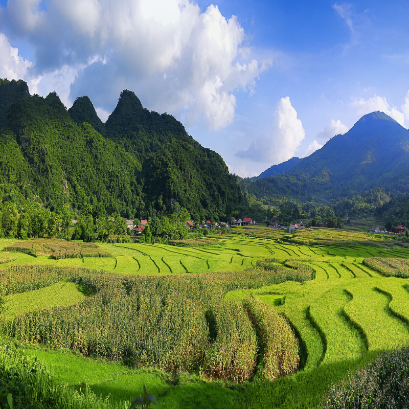 Passeio de 21 Dias por Singapura Tailândia e Vietnã