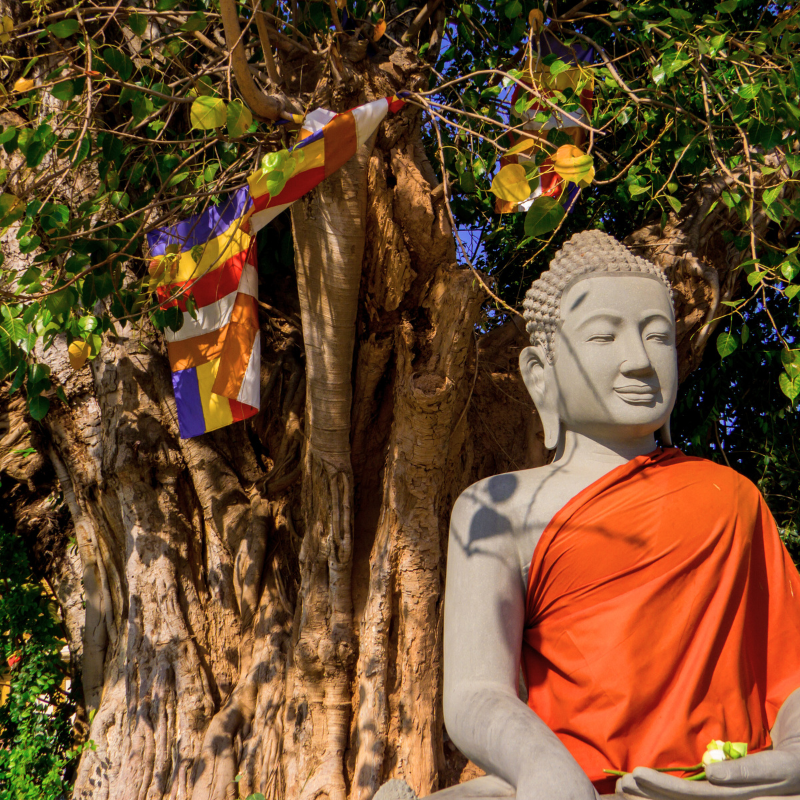 Passeio pelo Vietnã Camboja e Malásia Férias em 24 Dias