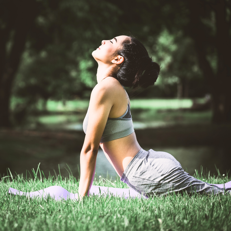 Tour de Ioga no Vietnã 12 Dias