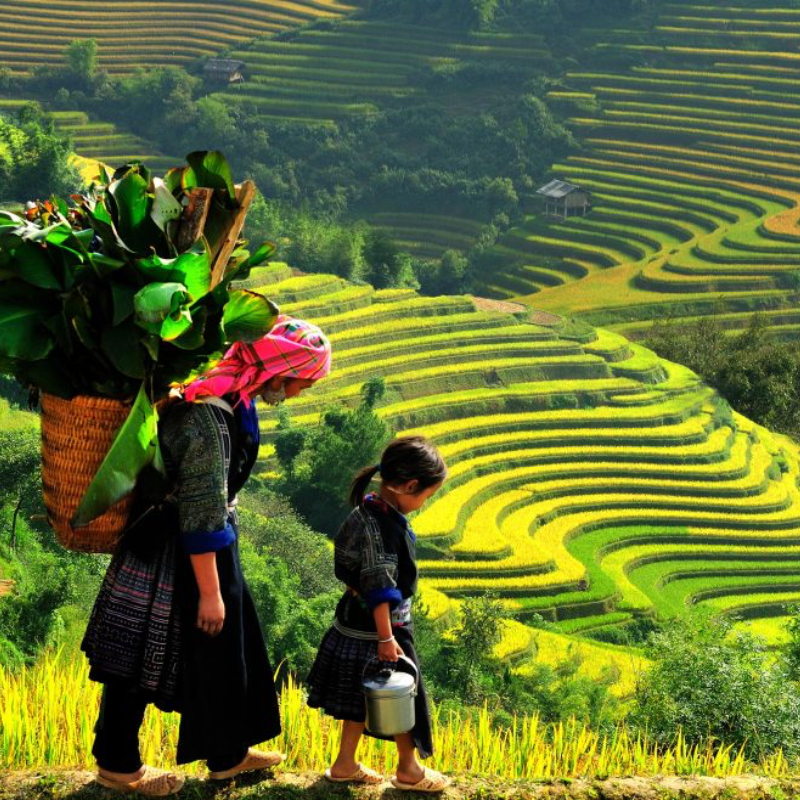 Viagem às Culturas Étnicas do Vietnã 9 Dias