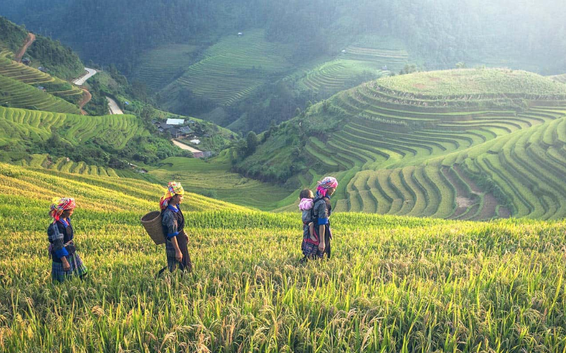 Hình ảnh hành trình